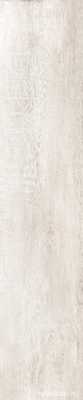 GreenWood Bianco|24x120