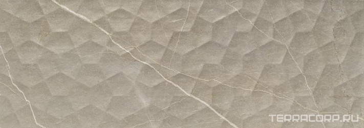 Baltimore Houstone Tortora rect. XX.|31.6x90