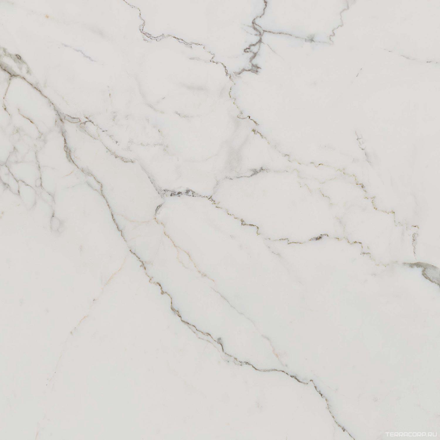 Керамогранит Dado Ceramica Marmi Pregiati Supreme Calacatta Rett 60x60 Белый, фото 4