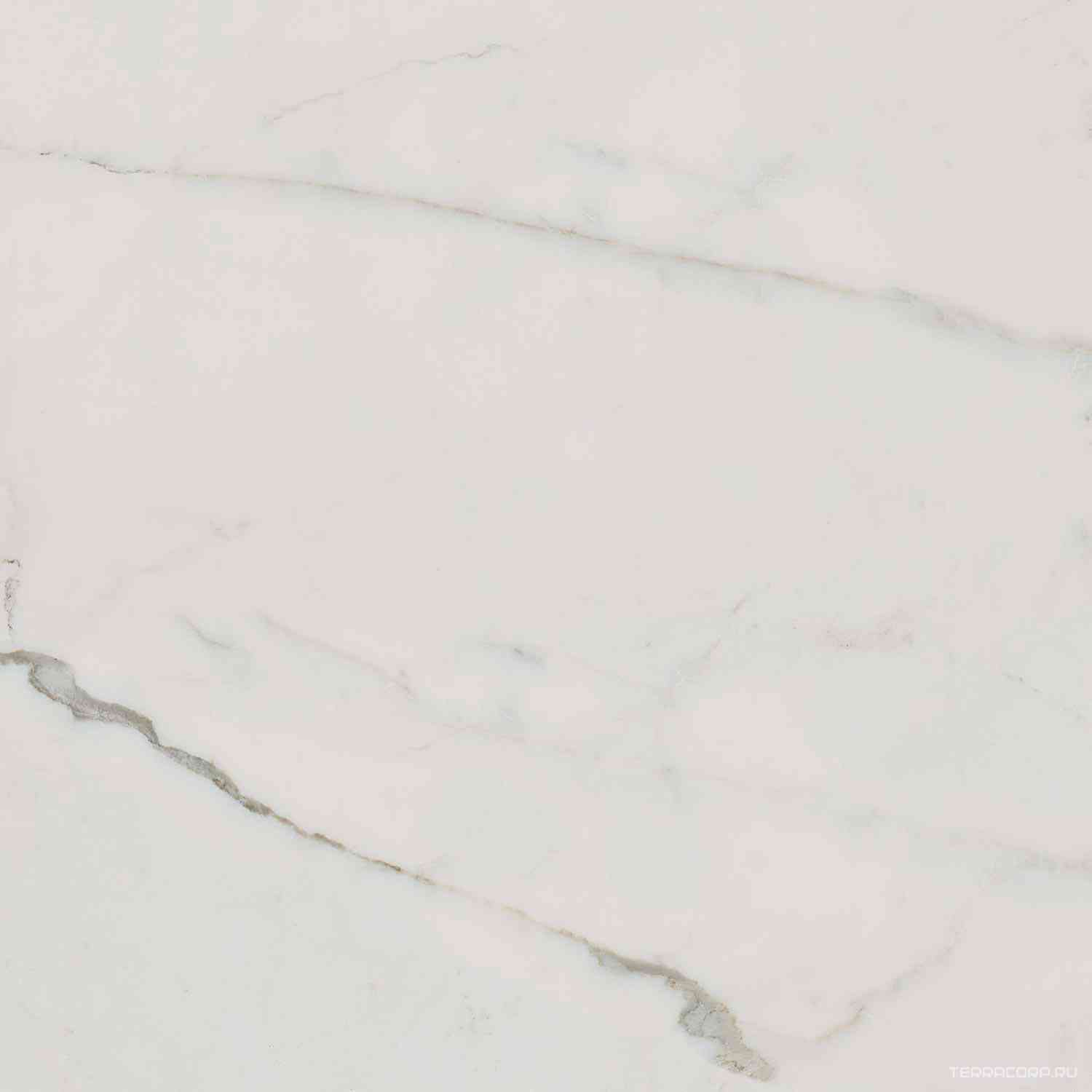 Supreme Calacatta Rett ZZ 60x60