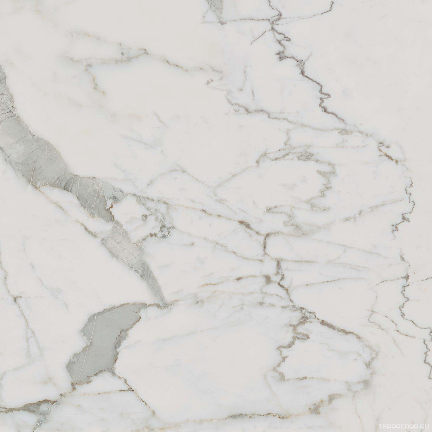 Керамогранит Dado Ceramica Marmi Pregiati Supreme Calacatta Rett 60x60 Белый, фото 7
