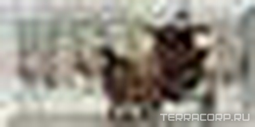 Керамическая плитка Absolut Keramika Monocolor 10x20 Decor Winter Park 02 10x20 Комбинированный 