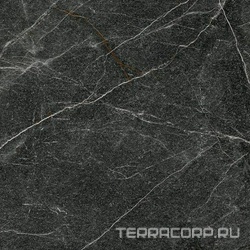 Гранит София черно-оливковый MR матовый XX 60x60