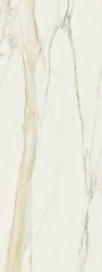 Calacatta Gold Glossy XX 80x240