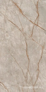 Керамогранит AtlasConcorde Россия EMPIRE Empire Silver Root 80x160 Lapp/ЭМПАИР СИЛЬВЕР РУТ 80x160 ЛАП Серый 