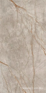 Керамогранит AtlasConcorde Россия EMPIRE Empire Silver Root 80x160 Lapp/ЭМПАИР СИЛЬВЕР РУТ 80x160 ЛАП Серый 