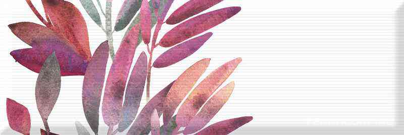 Dec.Savage Flowers Berenjena 01 XX |15x45