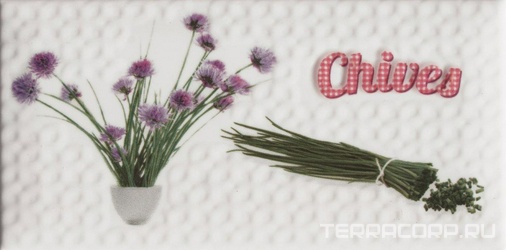 Decor Modern Chives XX 10x20