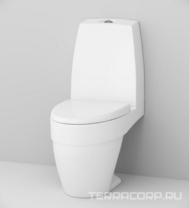 Бачок для унитаза напольного  (C538607SC/C538607GCO) (ЗАП.ЧАСТЬ), ZZ AMPM Bliss L C532396XX