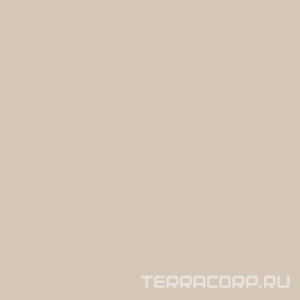 Керамогранит Estima Rainbow Грес  01 беж  полир.ZZ 60x60 Бежевый 