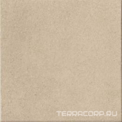 Tortora XX |20x20