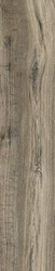 Soft Ash ZZ |20.5x100