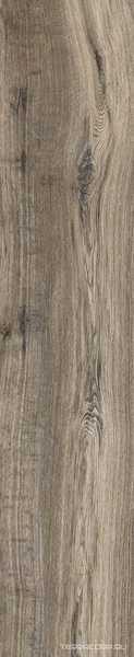 Soft Ash ZZ |20.5x100