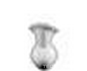 Комплект ножек для встраиваемой ванны E 2901, белый ZZ Jacob Delafon Revival E4014-NF