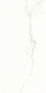 Керамогранит Ariostea Marmi Classici Calacatta Lincoln Luc 60x120 Белый 