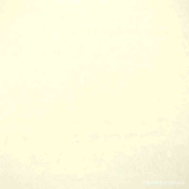 NEUTRO BIANCO ZZ |60x60