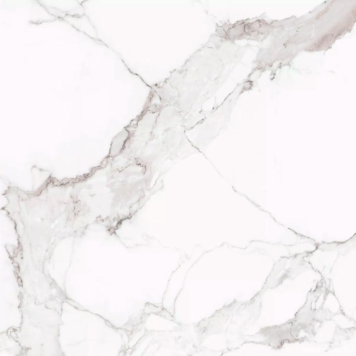 Керамогранит Florim I Classici di Rex Statuario Glossy 80x80 Белый, фото 4