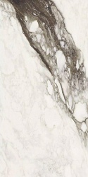 Etoile Renoir Matt ZZ 60x120