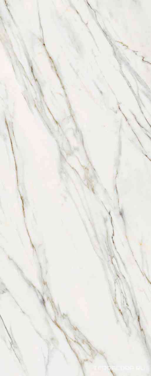 Calacatta Gold ZZ 5,6 120x300