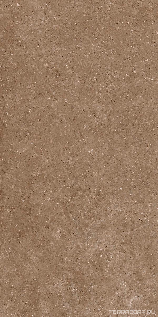 Керамогранит Гранитея Аркаим Arkaim Brown G214/ коричневый мат 60x120 Коричневый, фото 3