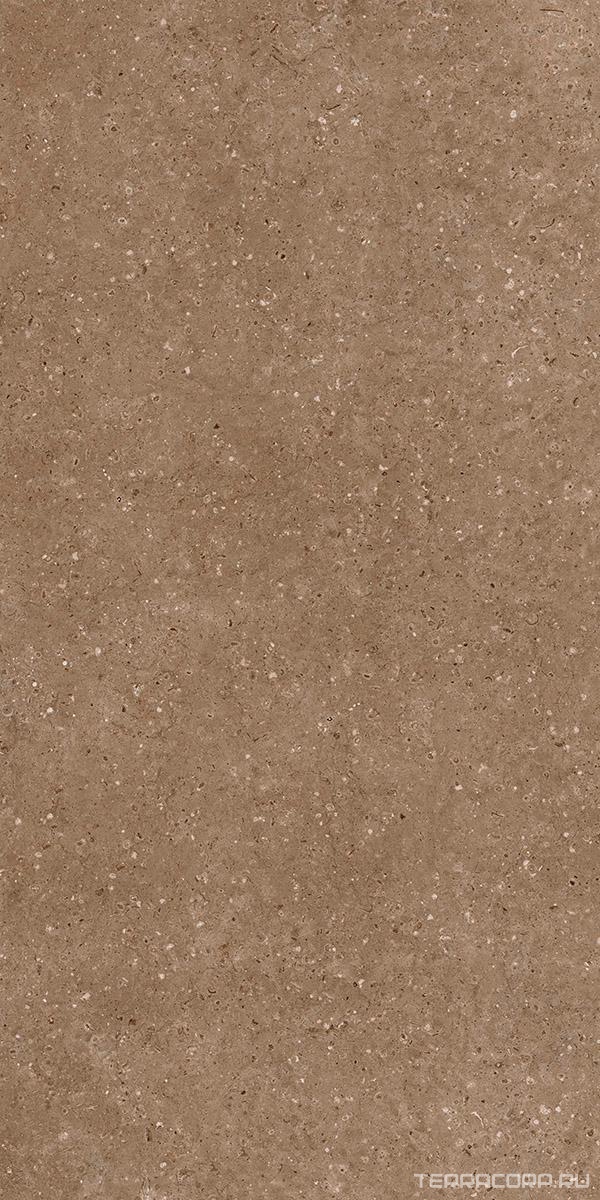 Керамогранит Гранитея Аркаим Arkaim Brown G214/ коричневый мат 60x120 Коричневый, фото 4