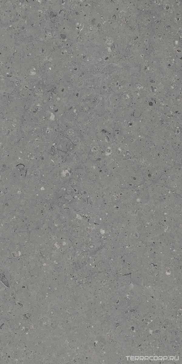 Керамогранит Гранитея Аркаим Arkaim Grey G213/ серый мат .60x120 Серый, фото 5