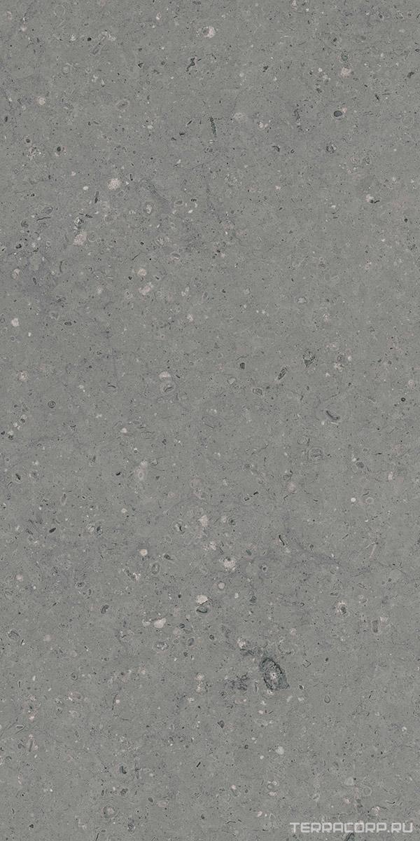 Керамогранит Гранитея Аркаим Arkaim Grey G213/ серый мат .60x120 Серый, фото 6