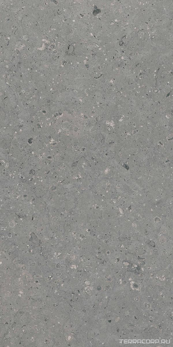 Керамогранит Гранитея Аркаим Arkaim Grey G213/ серый мат .60x120 Серый, фото 4