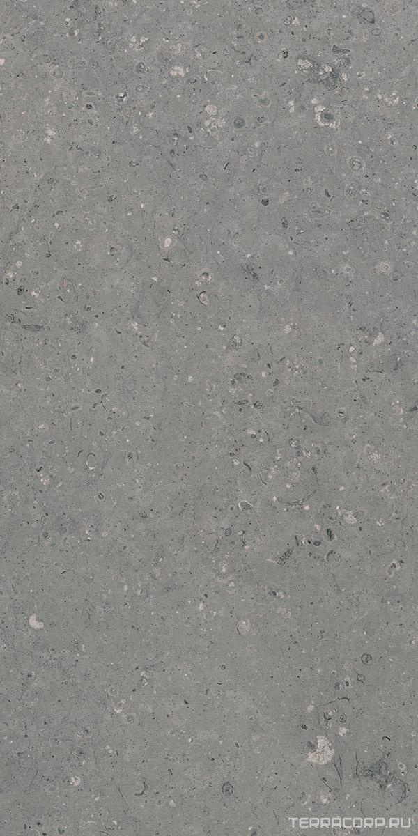 Керамогранит Гранитея Аркаим Arkaim Grey G213/ серый мат .60x120 Серый, фото 3