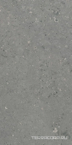 Керамогранит Гранитея Аркаим Arkaim Grey G213/ серый мат .60x120 Серый 