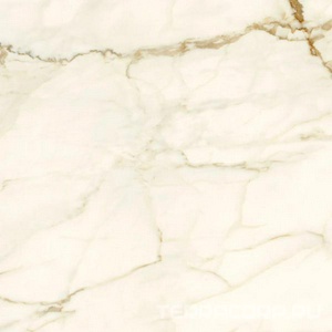 Керамогранит Ariostea Marmi Classici Calacatta Macchia Vecchia Lev Silk 60x60 Белый 