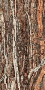 Керамогранит AtlasConcorde Россия EPOS Epos Jurassic RETT 60x120 LAPP/ЭПОС ДЖУРАССИК РЕТ 60x120 ЛАПП Черный 