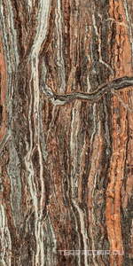 Керамогранит AtlasConcorde Россия EPOS Epos Jurassic RETT 60x120 LAPP/ЭПОС ДЖУРАССИК РЕТ 60x120 ЛАПП Черный 