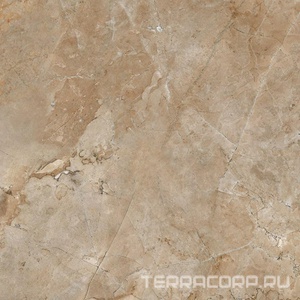 Керамогранит Гранитея Сугомак Sugomak Bronze G327/ бронзовый полированный 60x60 Бронзовый 