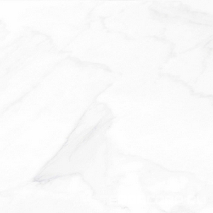 Керамогранит Гранитея Пайер Payer Elegant G281/ Элегантный мат. 60x60 Белый 