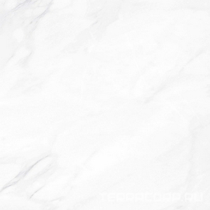 Керамогранит Гранитея Пайер Payer Elegant G281/ Элегантный мат. 60x60 Белый 