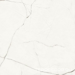 STA VP6 120 LP (п.п.)ZZ l120x120