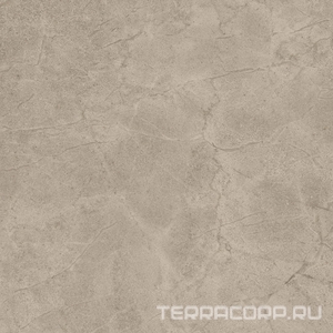 Керамогранит Imola Blue Savoy BLSV 60B RM 60x60 Бежевый 