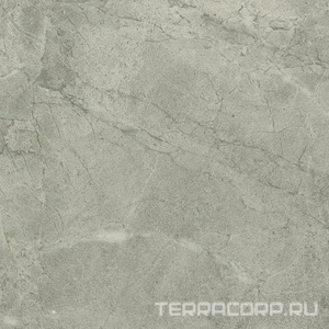 Керамогранит Imola Blue Savoy BLSV 60B RM 60x60 Бежевый 