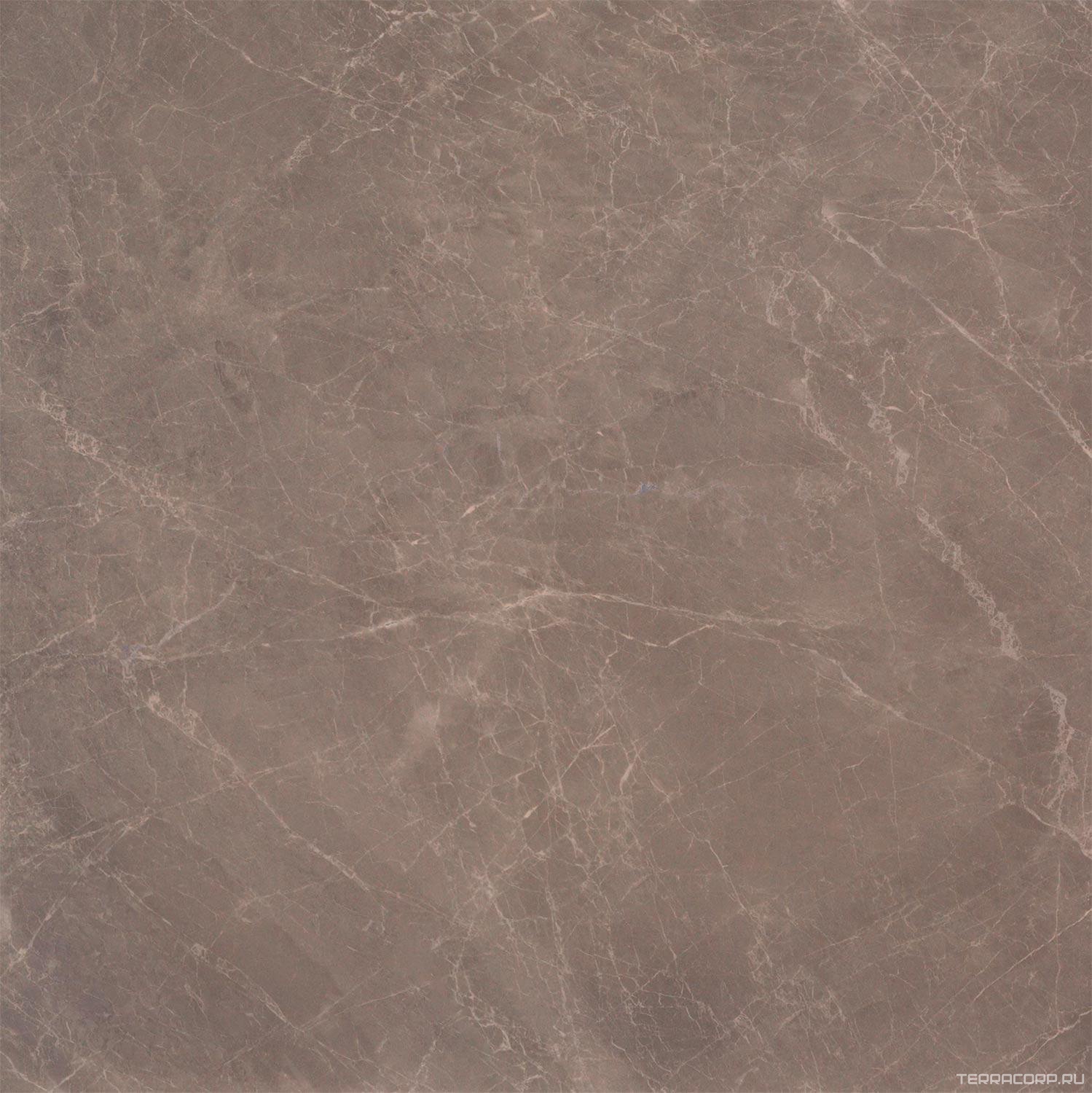 Керамогранит Atlas Concorde Italy Marvel Edge Marvel Gris Supreme 60x60 Серый, фото 3