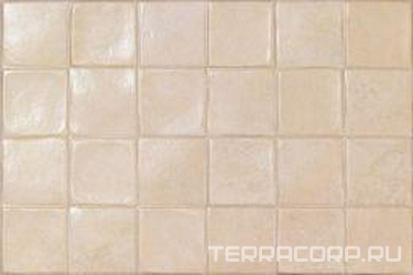 Oslo  Bone XX |33,3x50