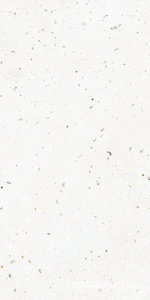 Керамогранит Grasaro Granella Керамогранит  G-40 антискольж.мат.белый ZZ30x60 Белый 