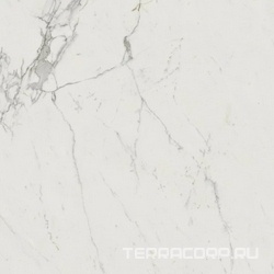 Marvel Calacatta Extra Lappato ZZ 120x120