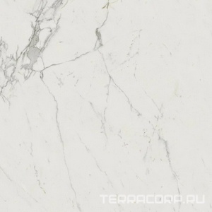 Керамогранит Atlas Concorde Italy Marvel  Calacatta Extra Lappato 120x120 Белый 