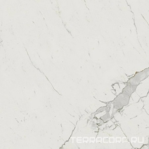 Керамогранит Atlas Concorde Italy Marvel  Calacatta Extra Lappato 120x120 Белый 