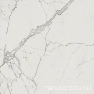 Керамогранит Atlas Concorde Italy Marvel  Calacatta Extra Lappato 120x120 Белый 