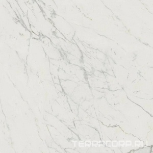 Керамогранит Atlas Concorde Italy Marvel  Calacatta Extra Lappato 120x120 Белый 