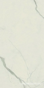 Керамогранит AtlasConcorde Россия EMPIRE Empire Statuario Rett 80x160/ЭМПАИР СТАТУАРИО РЕТ 80x160 Белый 