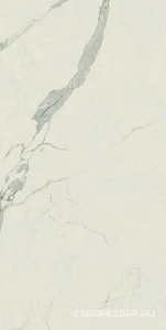 Керамогранит AtlasConcorde Россия EMPIRE Empire Statuario Rett 80x160/ЭМПАИР СТАТУАРИО РЕТ 80x160 Белый 