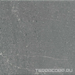 Керамогранит Kerama Marazzi Матрикс  серый тёмный 20x20 Серый 